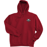 Scary Badgers Super Heavyweight Fleece Hoodie