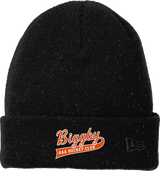 Biggby Coffee AAA New Era Speckled Beanie