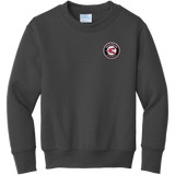 Westchester Express Youth Core Fleece Crewneck Sweatshirt