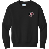 Westchester Express Youth Core Fleece Crewneck Sweatshirt